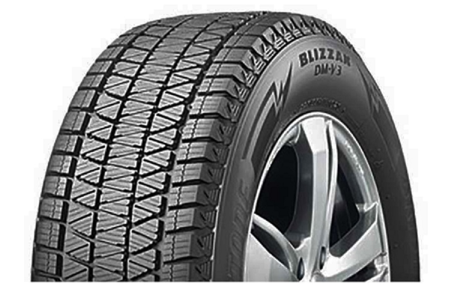 BRIDGESTONE DM-V3